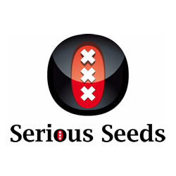 Serious Seeds Serious Seeds